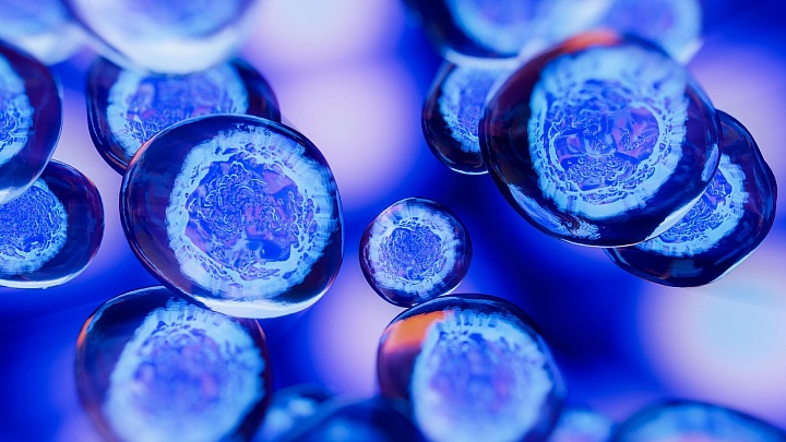 Ученые создали новую молекулу от болей при диабете