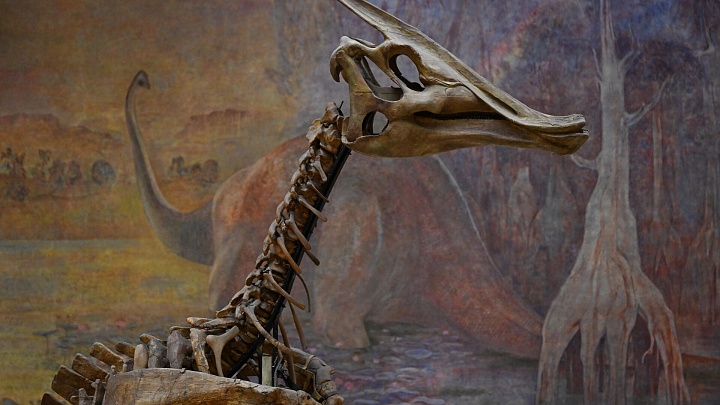 Ученые раскрыли подробности о погубившем динозавров астероиде